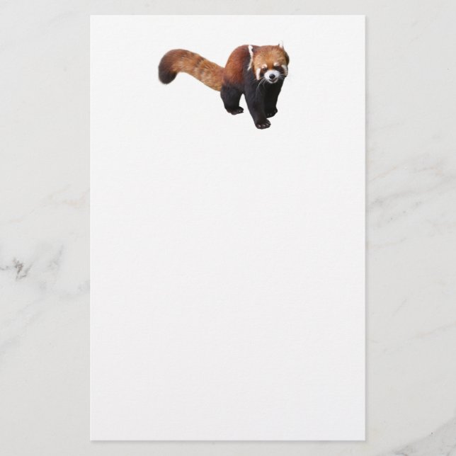 “Red Panda”の優良製品 Stationery (Front)