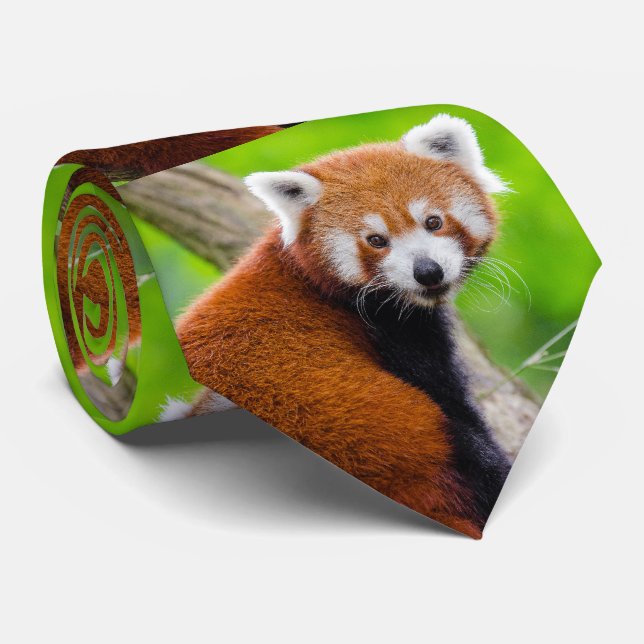 Red Panda ネクタイ Tie (Rolled)