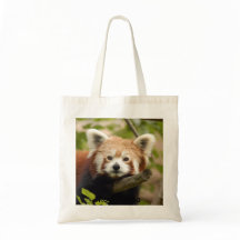 Red Panda-007, Red Panda