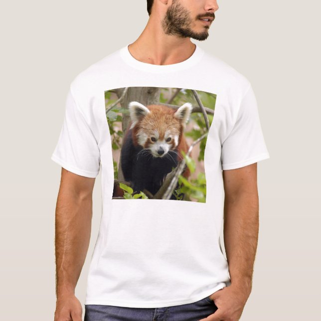 Red Panda-023 T-shirt (Front)