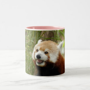 red-panda-033 Two-Tone coffee mug