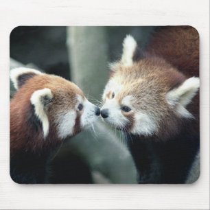 Red Panda #1-Mousepad Mouse Pad