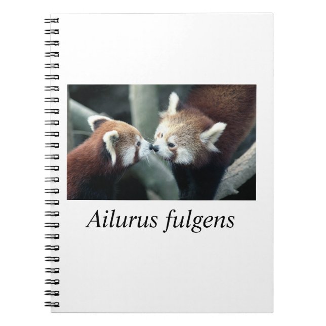 Red Panda#1 Notebook (Front)