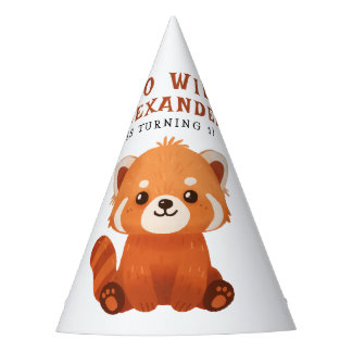 Red Panda 1st Birthday Party Hat