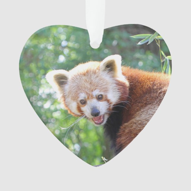 Red_Panda_2015_0306 Ornament (Front)