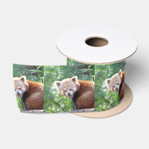 Red_Panda_2015_0306 Satin Ribbon