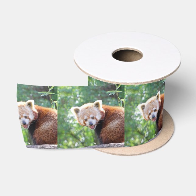 Red_Panda_2015_0306 Satin Ribbon (Spool)