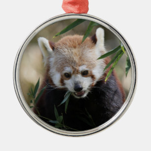 Red_Panda_2015_0311 Metal Ornament