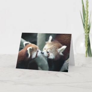 Red Panda #2-Greeting card