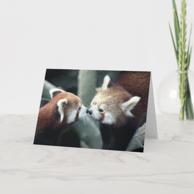 Red Panda #2-Greeting card (Front)