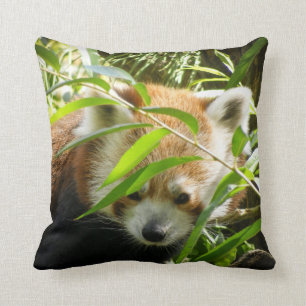 Red Panda 415P2 Cushion