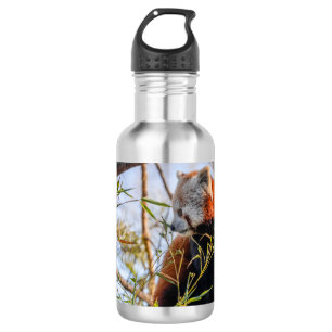 Red panda 532 ml water bottle