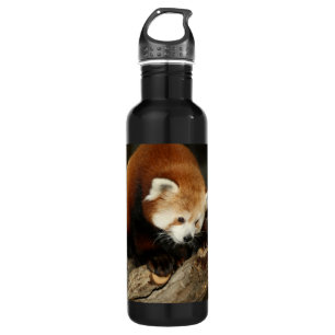 Red Panda 710 Ml Water Bottle
