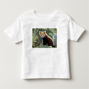 Red Panda Ailurus fulgens) Toddler T-Shirt