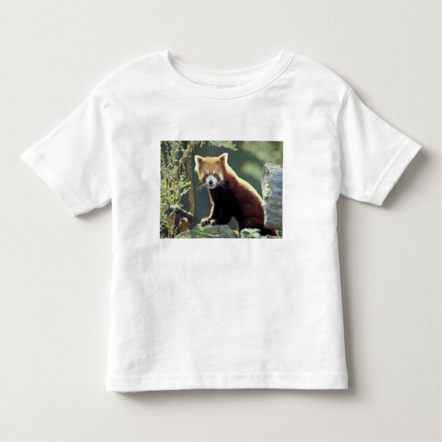 Red Panda Ailurus fulgens) Toddler T-Shirt (Front)