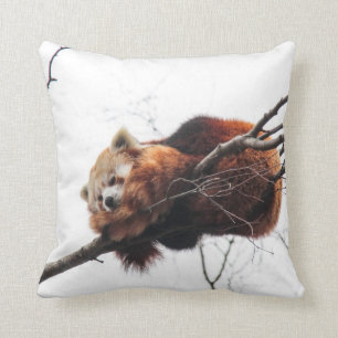 Red Panda American Mojo Pillow