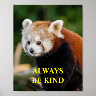 Red Panda Be Kind Inspirational Quote Custom Poster