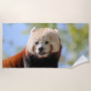 Red Panda Beach Towel