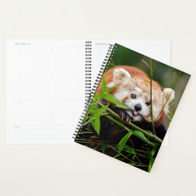 Red Panda Bear Planner (Display)