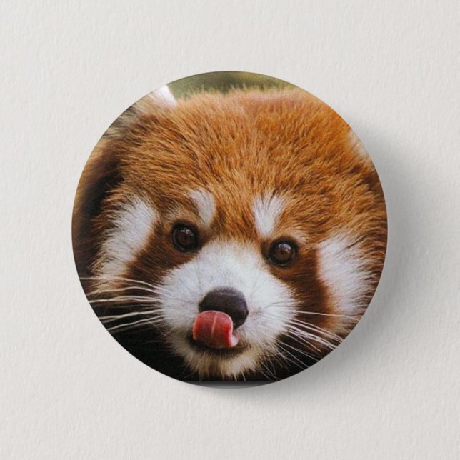 Red Panda Button (Front)