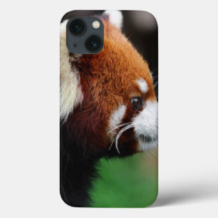 Red panda iPhone 13 case