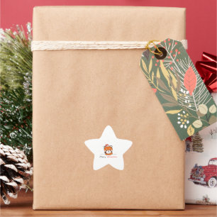 Red Panda Christmas Snow Winter Animals Pandas Star Sticker
