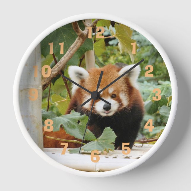 Red Panda Clock (Front)