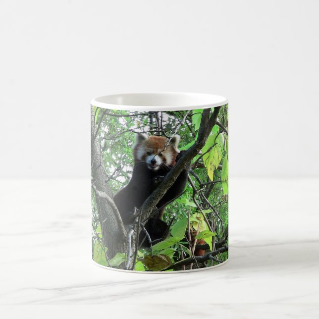 Red Panda Coffee Mug (Center)