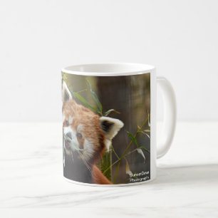 Red Panda Coffee Mug
