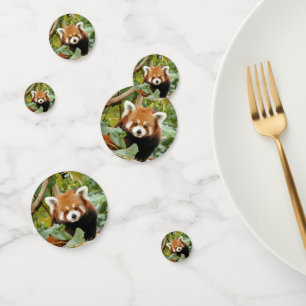 Red Panda Confetti