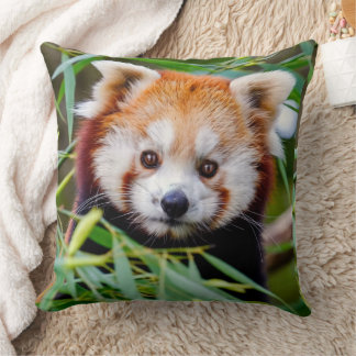 Red Panda Cushion