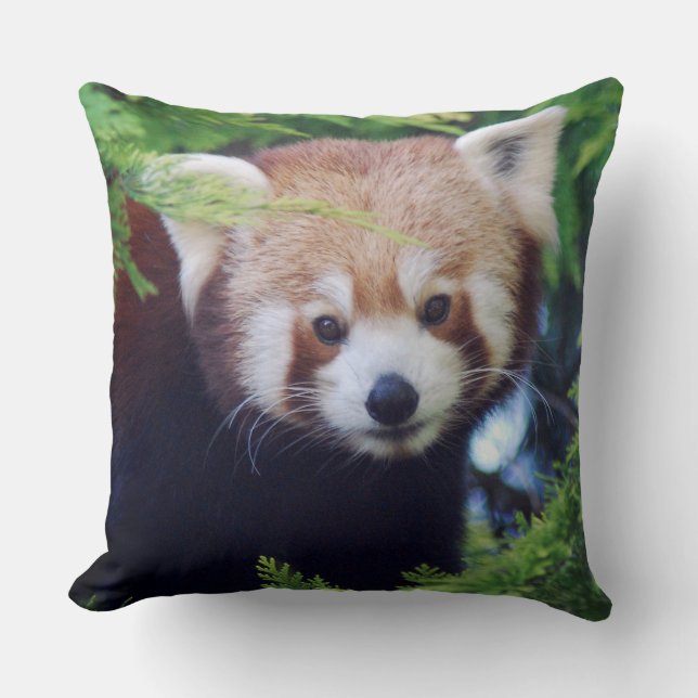 Red Panda Cushion (Front)