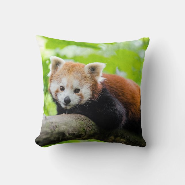 Red Panda Cushion (Front)