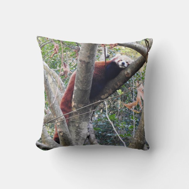 Red Panda Cushion (Front)