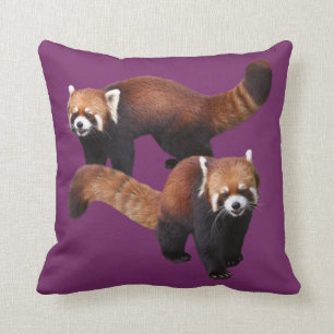 Red Panda Cushion