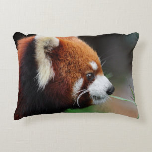 Red panda decorative cushion
