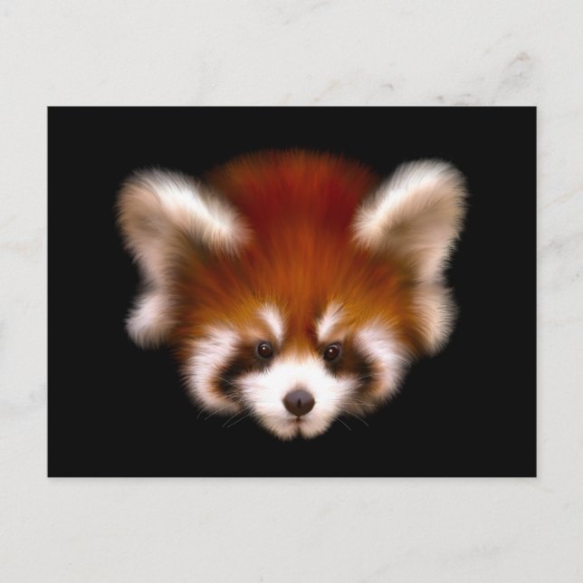 Red Panda Design Postcard (Front)