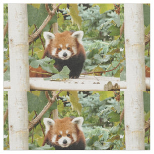 Red Panda Fabric