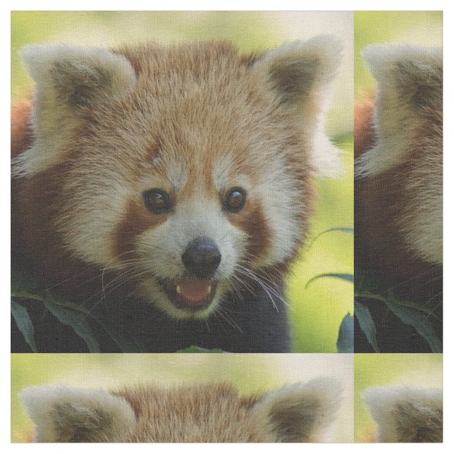 red panda fabric (Close Up)