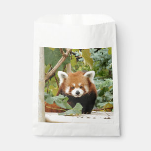 Red Panda Favour Bag