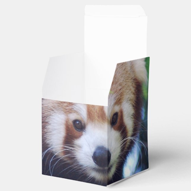 Red Panda Favour Box (Opened)