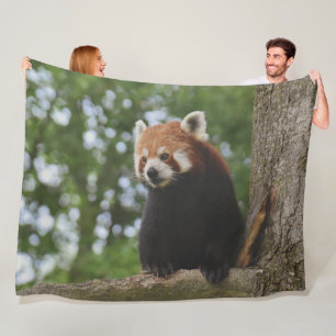 RED PANDA FLEECE BLANKET