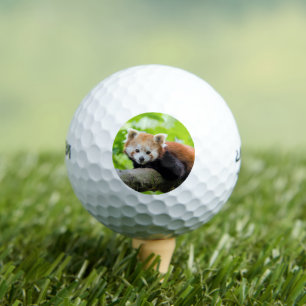 Red Panda Golf Balls