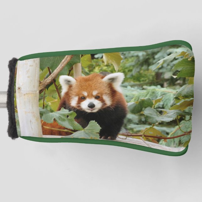 Red Panda Golf Head Cover (Front)