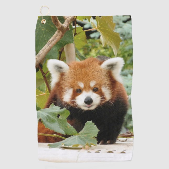 Red Panda Golf Towel (Front)