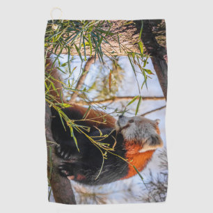 Red panda golf towel