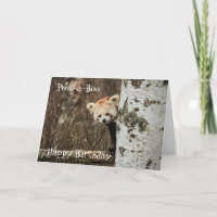 Red Panda Happy Birthday