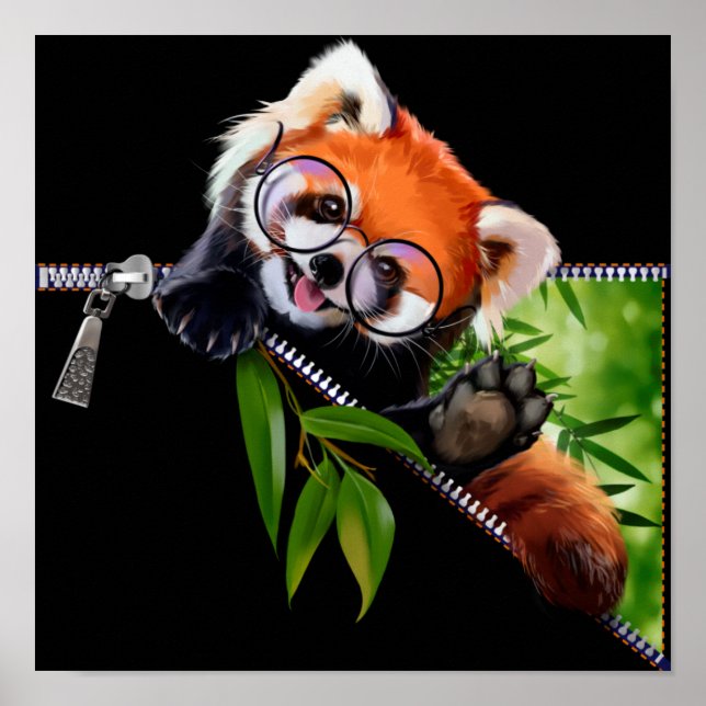 Red Panda in round glasses and bamboo branch Poster (Front)