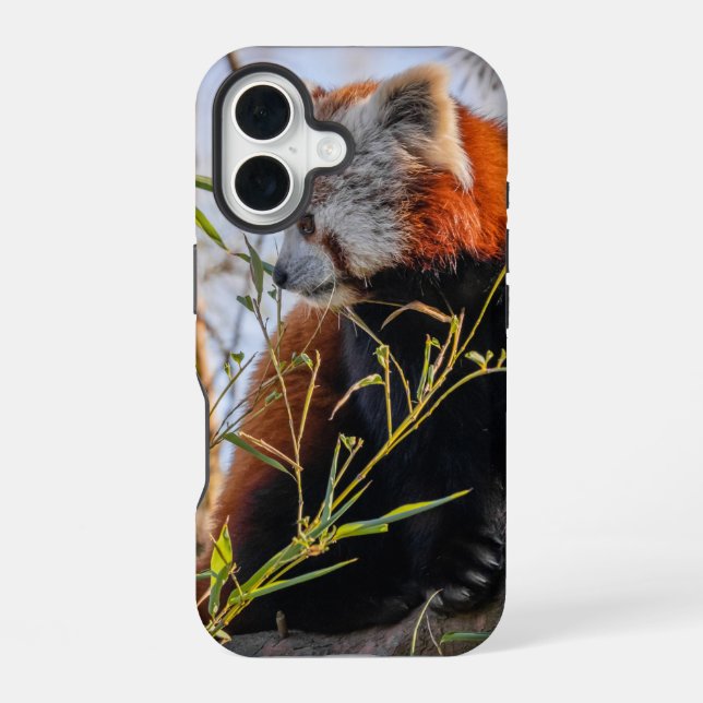 Red panda iPhone 16 case (Back)