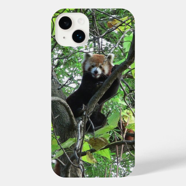 Red Panda iPhone Case (Back)